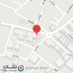 عکس گالری نقاشی نادر