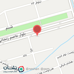 عکس غذای آماده زیتون