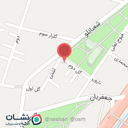 عکس پت راید (Pet Taxi)