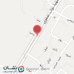 عکس قالیشویی و مبل شویی اسماعیلی