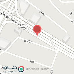 عکس کیف و کفش پاریس