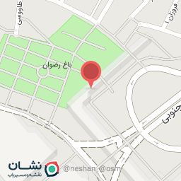 عکس یگان صیانت ( آگاهی حرم مطهر رضوی )