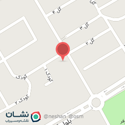 عکس خودپرداز انصار