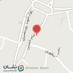 عکس فرش پژمان