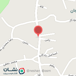 عکس تزینات پرده رضا