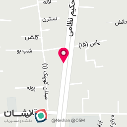 عکس سکه و طلا نصر