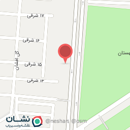 عکس بدلیجات بی جوز