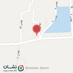 عکس مسجد الرضا 