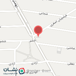 عکس پیتزا نیک