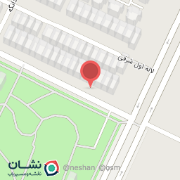 عکس پیتزا پلاس