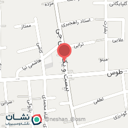 عکس الکتریکی ملکی