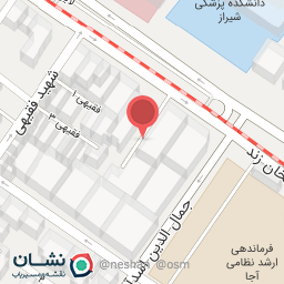 عکس دکتر حمید پردیس