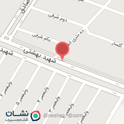 عکس الکتریکی حسینی