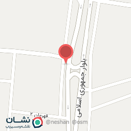 عکس مرغ گرم پارس