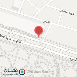 عکس کیف و کفش علیرضا 