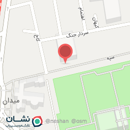 عکس کفش طبی دکتر چلیپا (دکتر ماخ)