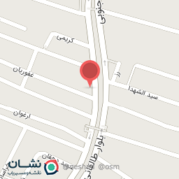 عکس قصابی بهادر