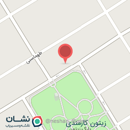 عکس مجلسی نوژا