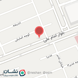 عکس پیتزا ترنج