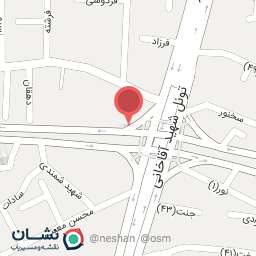 عکس پیتزا همبرگر 101