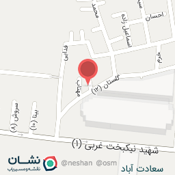 عکس دکتر اعظم شفیعی