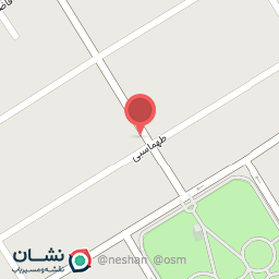 عکس فروشگاه نوین امنیت پارس