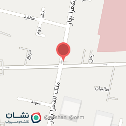 عکس واحدگشت تهران