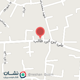 عکس کیف ونوس