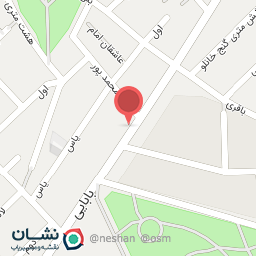 عکس مکانیکی برادران هیدجی