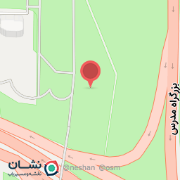 عکس پیتزا لبنانی