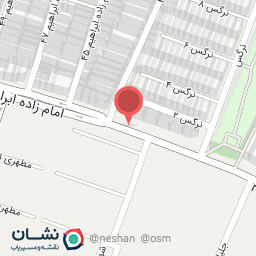 عکس پیتزا و مرغ بریان نشاط