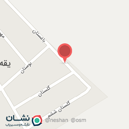 عکس مکانیکی سعید