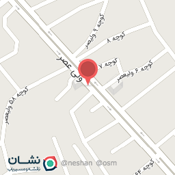 عکس مرغ کنتاکی ميناب 