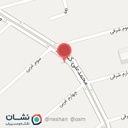 عکس دکتر حسین تقوی