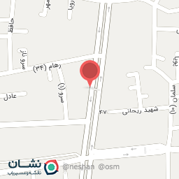 عکس مرغ محمدی