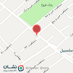 عکس پروتئینی شام شب