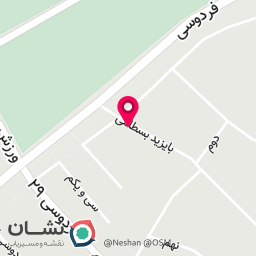 عکس کبابی 