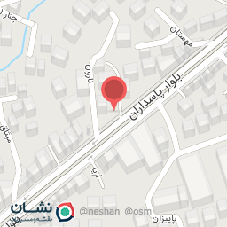 عکس سیزلر پیتزا