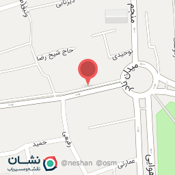 عکس دوچرخه زینی نژاد