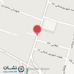 عکس پیتزا و ساندویچ کاکتوس