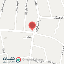 عکس فست فود جفت شیش 