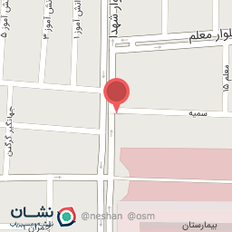 عکس کیف و کفش پانیذ