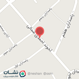 عکس کیف وکفش توت فرنگی