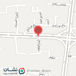 عکس دکتر مجید باقری