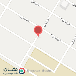 عکس پیتزا دالیز ۲