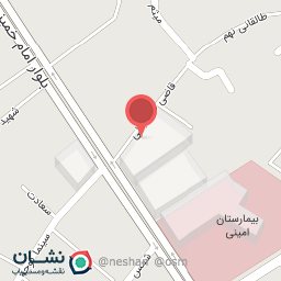 عکس چرم دست دوز گیلدخت