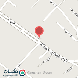 عکس پیتزا بلک (شعبه جدید)