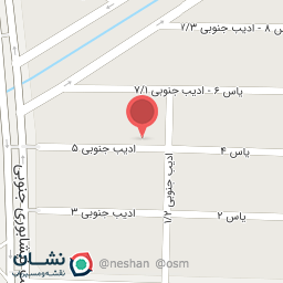 عکس گازسوز خودرو علی