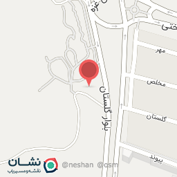 عکس فیل و فنجون