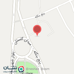 عکس پیتزا نانو